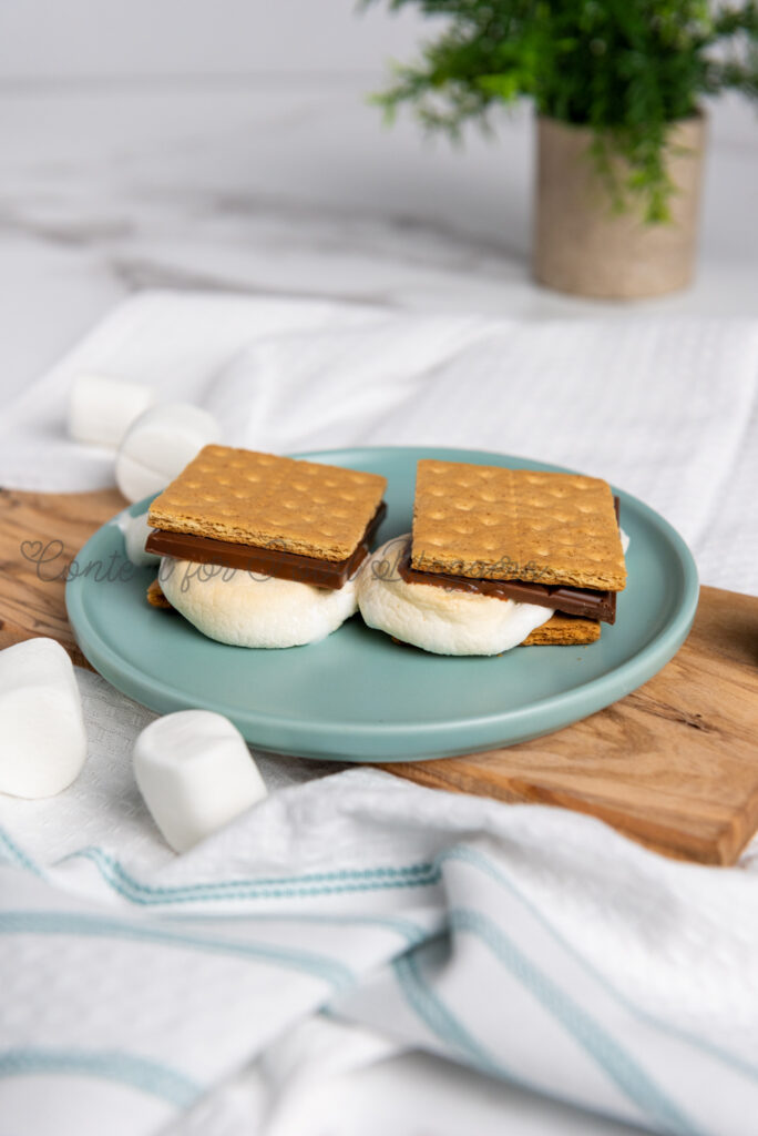 PLR Recipe - Air Fryer S'Mores