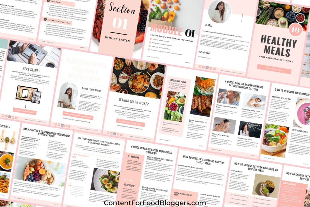 PLR E-Book Template - 27 Page Multi-Purpose Magnet Lead E-Book