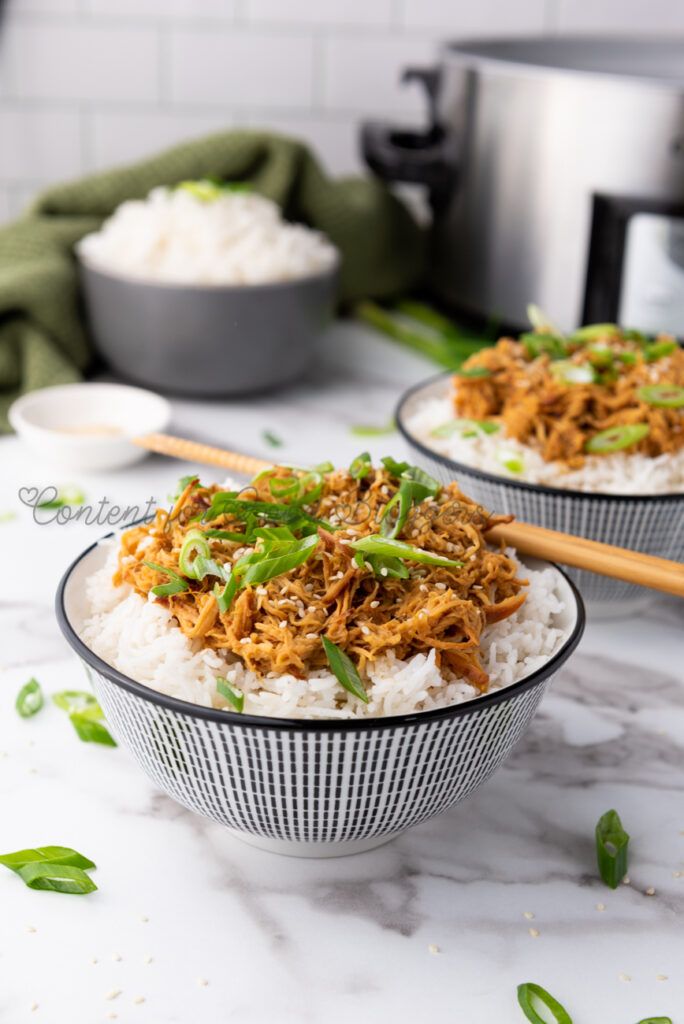 PLR Recipe - Crockpot Slow Cooker Soy Honey Garlic Chicken