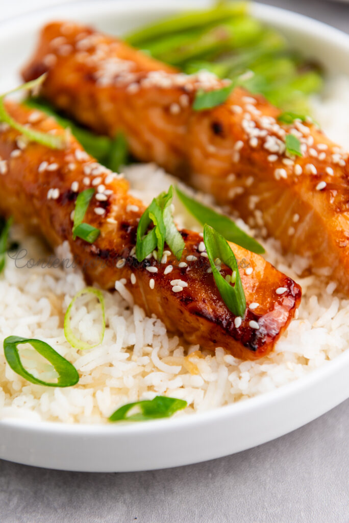 PLR Recipe - Air Fryer Teriyaki Salmon