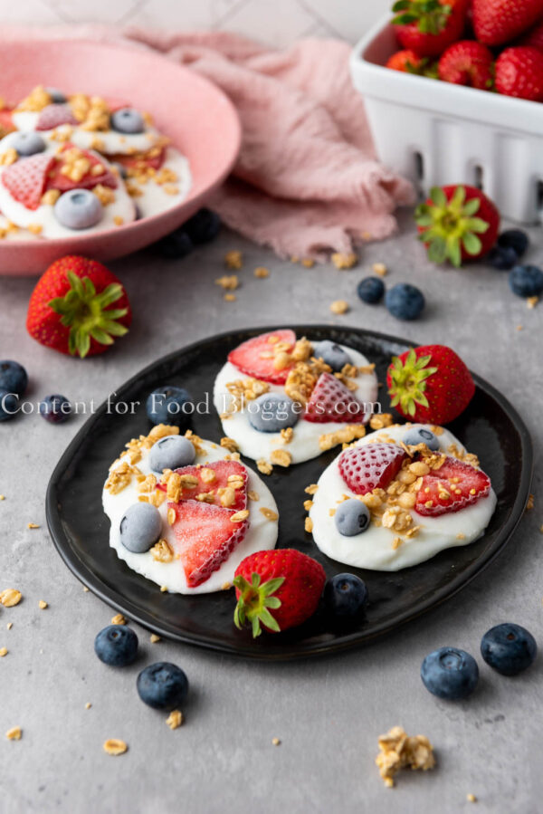 PLR Recipe - Frozen Vanilla Yogurt Bites